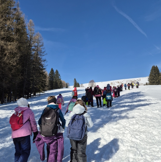 In gita sulla neve!